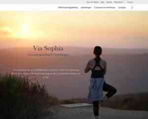 webdesign_hasselt_Diamedia_Minds_2.jpg
