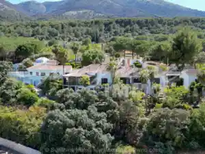 agencia-inmobiliaria_coin_Sunshine_Immo_7.jpg
