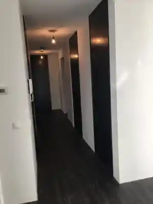 schilder_heemskerk_Bleije_Schilderwerken_3.jpg