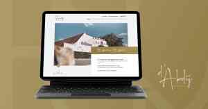 webdesign_damme_Pixelmedia_7.jpg