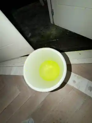 Lekdetectie Oegstgeest .jpg