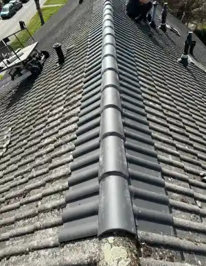 dakdekker_amsterdam_Efficiënt_dakonderhoud_B.V_3.jpg