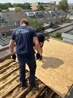 schoorsteenveger_rosmalen_RT_Daken_6.jpg