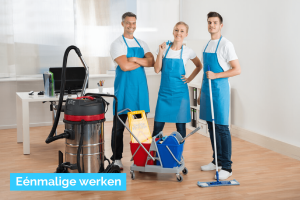 glazenwasser_wommelgem_CoCleaning_schoonmaakbedrijf_Antwerpen_4.jpg