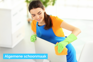 glazenwasser_wommelgem_CoCleaning_schoonmaakbedrijf_Antwerpen_3.jpg