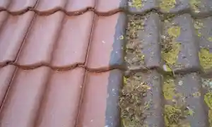 schoonmaakbedrijf_borgloon_Carbon_Schoonmaakbedrijf_&_Ruitenwassers_5.jpg