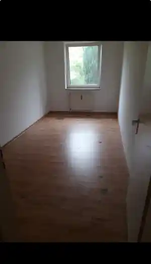 entrumpelung_monheim-am-rhein_Daniel_Nagel_6.jpg