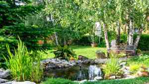 tuinaanleg-en-tuinonderhoud_aalst_Tuinoke.be_7.jpg