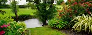 tuinaanleg-en-tuinonderhoud_aalst_Verbestel_Jonas_2.jpg