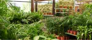 tuinaanleg-en-tuinonderhoud_aarschot_De_Groene_(De_Groene_Boomschorscentrum)_4.jpg