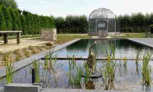 tuinaanleg-en-tuinonderhoud_aarschot-langdorp_Cerasis_Tuininrichting_4.jpg