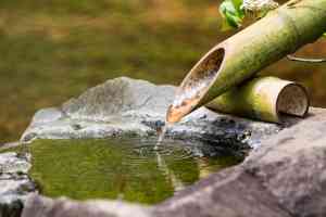 tuinaanleg-en-tuinonderhoud_haacht_Jard'eau_Tuinaanleg_2.jpg