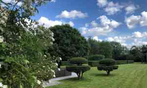 tuinaanleg-en-tuinonderhoud_keerbergen_Tuinwerken_Grandé-Flora_3.jpg