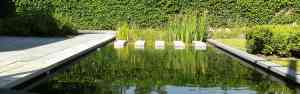 tuinaanleg-en-tuinonderhoud_tielt-winge_Herba_bvba_Buiteninrichting,_tuinarchitectuur,_tuinaanleg_2.jpg