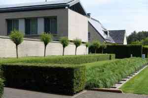 tuinaanleg-en-tuinonderhoud_laakdal_Verellen_Tuinarchitectuur_5.jpg