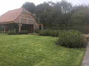 tuinaanleg-en-tuinonderhoud_herentals_Tuinen_Toon_2.jpg