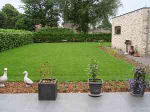 tuinaanleg-en-tuinonderhoud_herentals_Tuinen_Toon_3.jpg