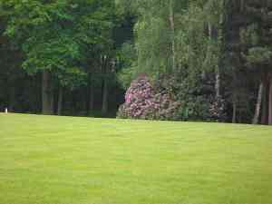 tuinaanleg-en-tuinonderhoud_lier_Tim_Jacobs_Tuinaanleg_BVBA_3.jpg