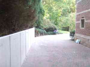 tuinaanleg-en-tuinonderhoud_willebroek_Tuinaanleg_Sneiders_3.jpg
