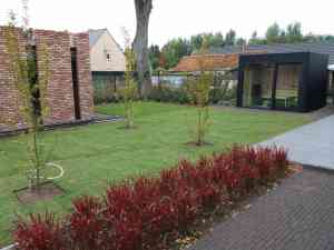 tuinaanleg-en-tuinonderhoud_heusden-zolder_Beerten_/_Peter_2.jpg