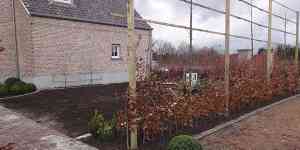 tuinaanleg-en-tuinonderhoud_mol_VHR_tuinaanleg_4.jpg