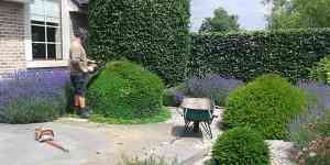 tuinaanleg-en-tuinonderhoud_mol_VHR_tuinaanleg_2.jpg