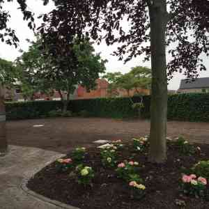 tuinaanleg-en-tuinonderhoud_beveren_Arbo-Flora_3.jpg