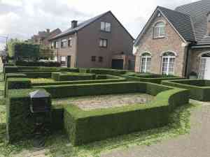 tuinaanleg-en-tuinonderhoud_beveren_Arbo-Flora_6.jpg