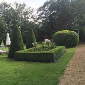 tuinaanleg-en-tuinonderhoud_beveren_Arbo-Flora_4.jpg