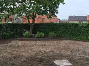 tuinaanleg-en-tuinonderhoud_beveren_Arbo-Flora_2.jpg