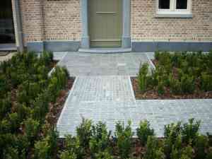 tuinaanleg-en-tuinonderhoud_sint-gillis-waas_Eljosi_2.jpg