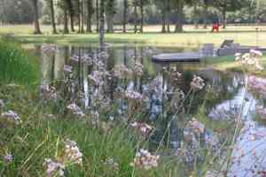 tuinaanleg-en-tuinonderhoud_keerbergen_Lammens_L&H_bvba_(Tuinarchitect)_4.jpg