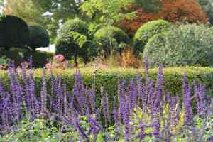 tuinaanleg-en-tuinonderhoud_keerbergen_Lammens_L&H_bvba_(Tuinarchitect)_2.jpg