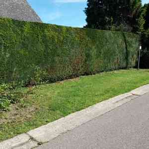 tuinaanleg-en-tuinonderhoud_lanaken-kesselt_Het_Klusserke_2.jpg