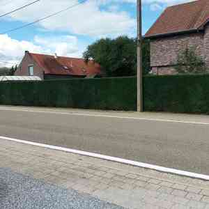 tuinaanleg-en-tuinonderhoud_lanaken-kesselt_Het_Klusserke_3.jpg