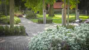 tuinaanleg-en-tuinonderhoud_tongeren_Tuinen_Stijn_Bouchet_BVBA_3.jpg