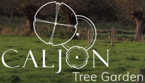 tuinaanleg-en-tuinonderhoud_brugge_TG-Caljon_4.jpg