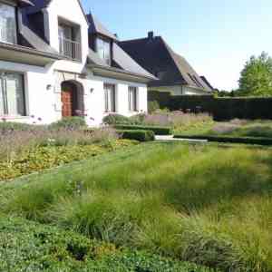 tuinaanleg-en-tuinonderhoud_ichtegem_Tuinen_Vandycke_Jurgen_4.jpg