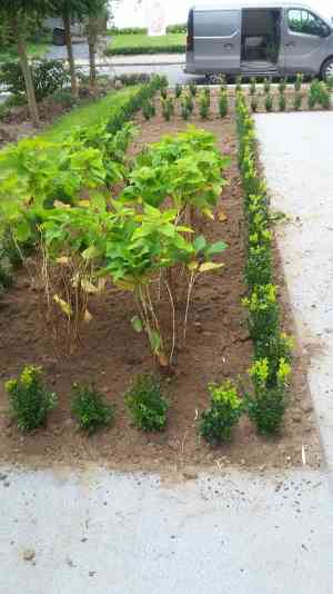 tuinaanleg-en-tuinonderhoud_torhout_Tuinen_Dries_6.jpg