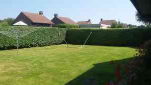 tuinaanleg-en-tuinonderhoud_torhout_Tuinen_Dries_4.jpg