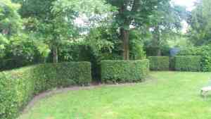 tuinaanleg-en-tuinonderhoud_torhout_Tuinen_Dries_5.jpg