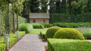 tuinaanleg-en-tuinonderhoud_waarschoot_Tuinen_Dhaenens_6.jpg