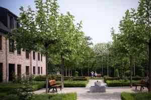 tuinaanleg-en-tuinonderhoud_kapellen_Tuinen_Lavendine_4.jpg