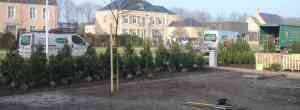 tuinaanleg-en-tuinonderhoud_stabroek_Create_It_!_7.jpg
