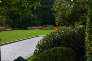 tuinaanleg-en-tuinonderhoud_stabroek_Crea_Verde_2.jpg