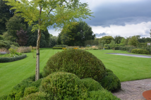 tuinaanleg-en-tuinonderhoud_stabroek_Crea_Verde_3.jpg