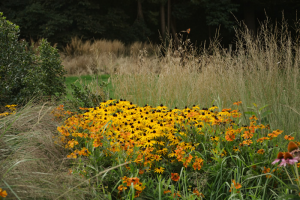 tuinaanleg-en-tuinonderhoud_stabroek_Crea_Verde_4.jpg