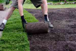 tuinaanleg-en-tuinonderhoud_malle_Tuinaanleg_Tuinonderhoud_2.jpg