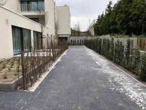 tuinaanleg-en-tuinonderhoud_parlement-de-la-communaute-francaise_Tuinwerken_Reumers_Wouter_/_Reumers_Groendesign_5.jpg