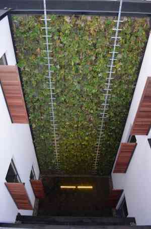 tuinaanleg-en-tuinonderhoud_brugge_Green_Building_Projects_2.jpg